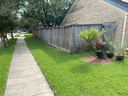 Fence cleaning without fuzzing the wood methods that work in humidity